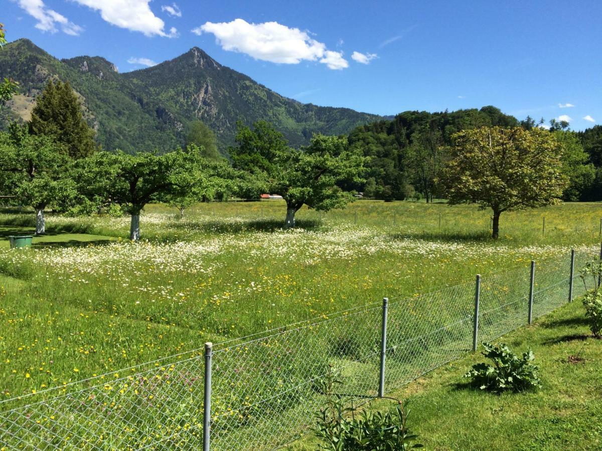 5-Sterne Active Ferienwohnung Chiemgau มาร์ควาร์ทชไตน์ ภายนอก รูปภาพ
